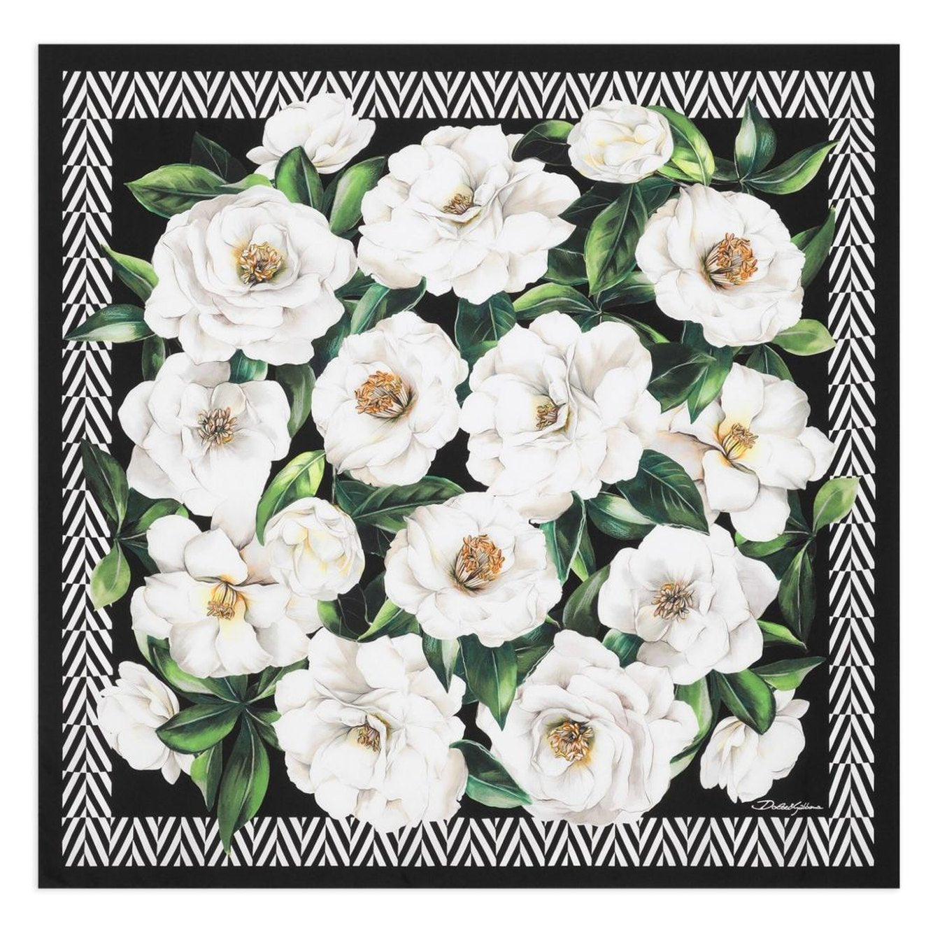 Dolce & Gabbana - Dolce & Gabbana Scarfs Black - Scarves Hats & Gloves