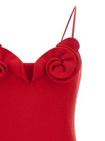 Magda Butrym Dress Red