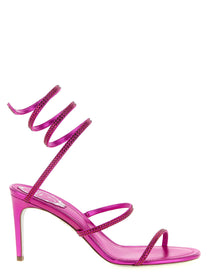 RENÉ CAOVILLA Women's Cleo Sandals Fuchsia