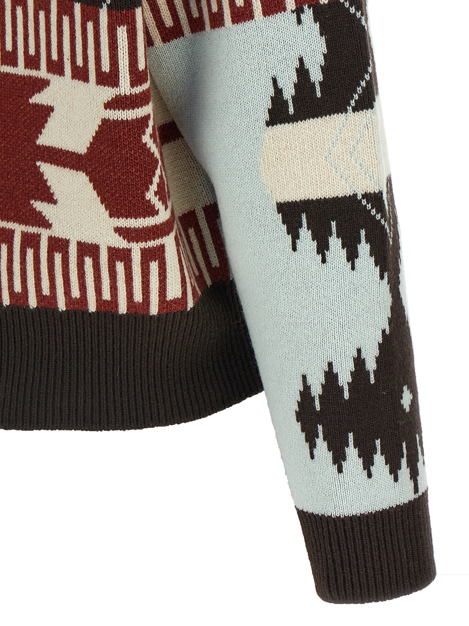 ALANUI - ALANUI Women’s Icon Thistles Multicolor - Women’s Knitwear