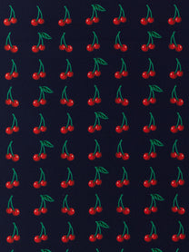 VALENTINO GARAVANI Women's Valentino Garavani Cherryfic Scarf Blue