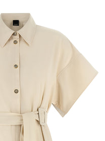 Pinko Alesha Dress Beige