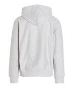 Carhartt Wip American Script Hoodie Grey, view 2
