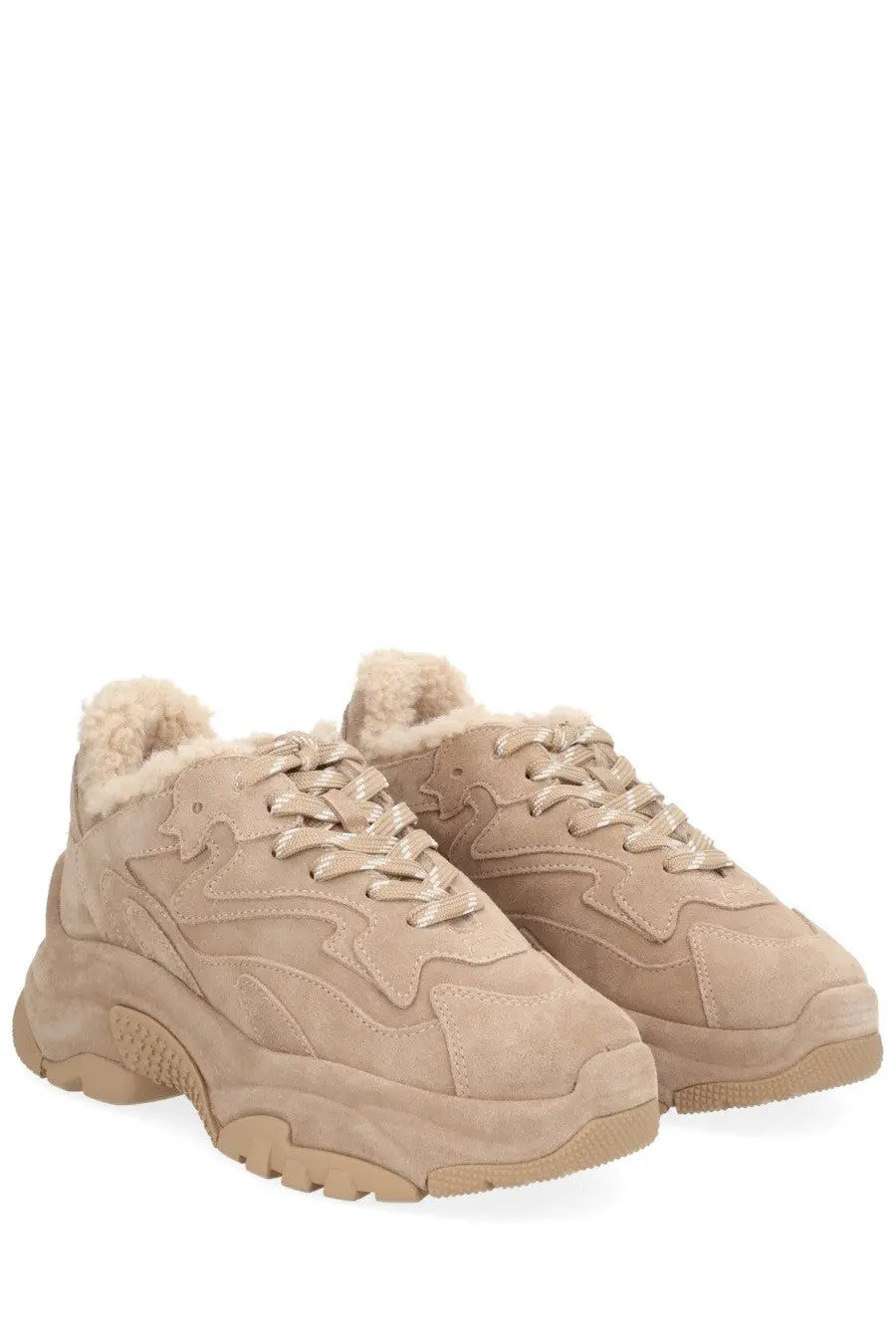 Beige suede ash women’s addict bis fur sneaker with plush shearling lining and chunky soles in brown color