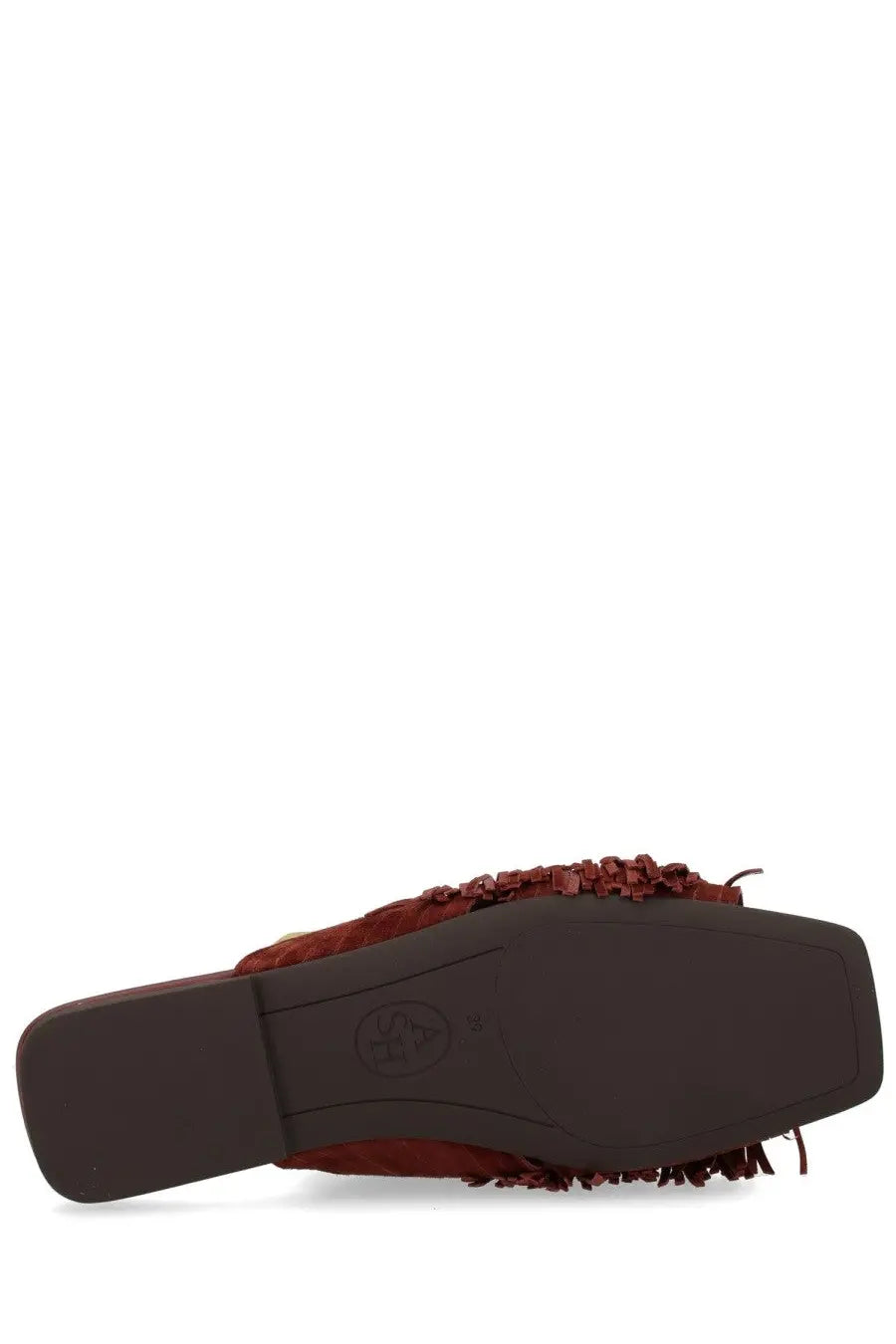Ash women’s mule brigitte brown in brown suede with fringed detailing along the top edge