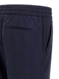 Brioni Asolo Pants Blue