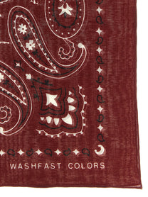 Alanui Bandana Paisley Red