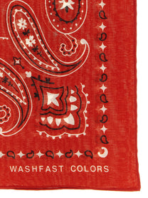 Alanui Bandana Paisley Red