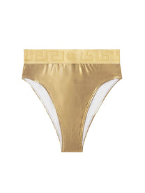 Bikini Briefs