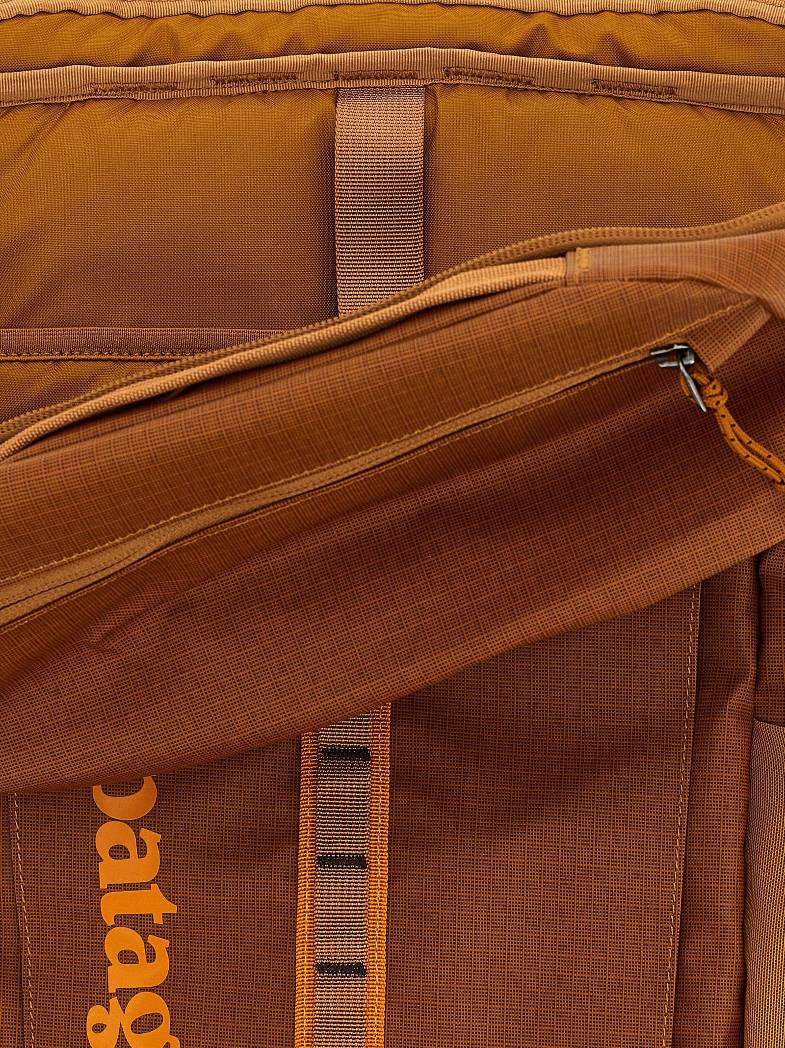 Patagonia Black Hole® Pack Backpack Brown