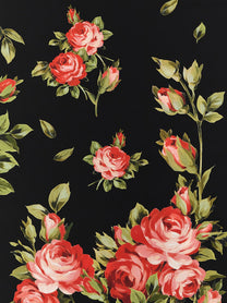 Dolce &amp; Gabbana Bouquet Rose Scarf Black