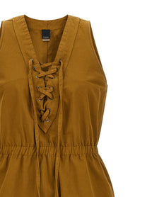 Pinko Casarsa Dress Brown