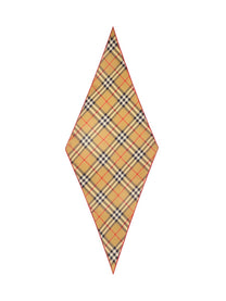 Burberry Women's Check Scarf Multicolor