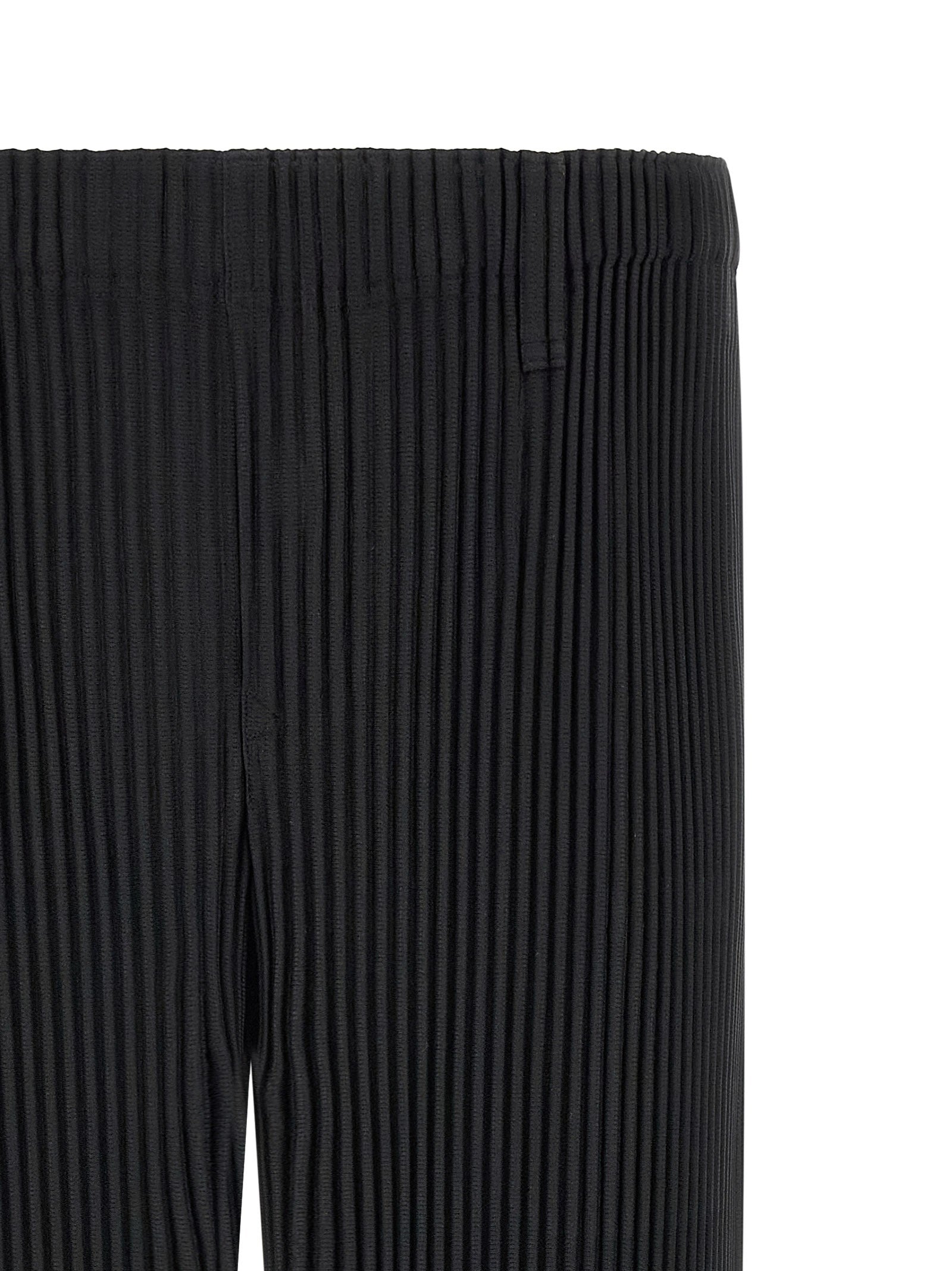 Homme Plissé Issey Miyake Color Pleats Pants Black