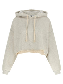 Golden Goose Crystal Hoodie Grey