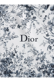 Dior women’s silk foulard blue scarf with intricate black and white floral pattern and delicate butterflies