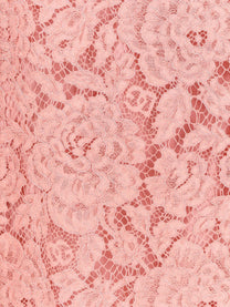 Dolce &amp; Gabbana - Dolce &amp; Gabbana A Line Dg Floral Lace Dress - Women’s Clothing