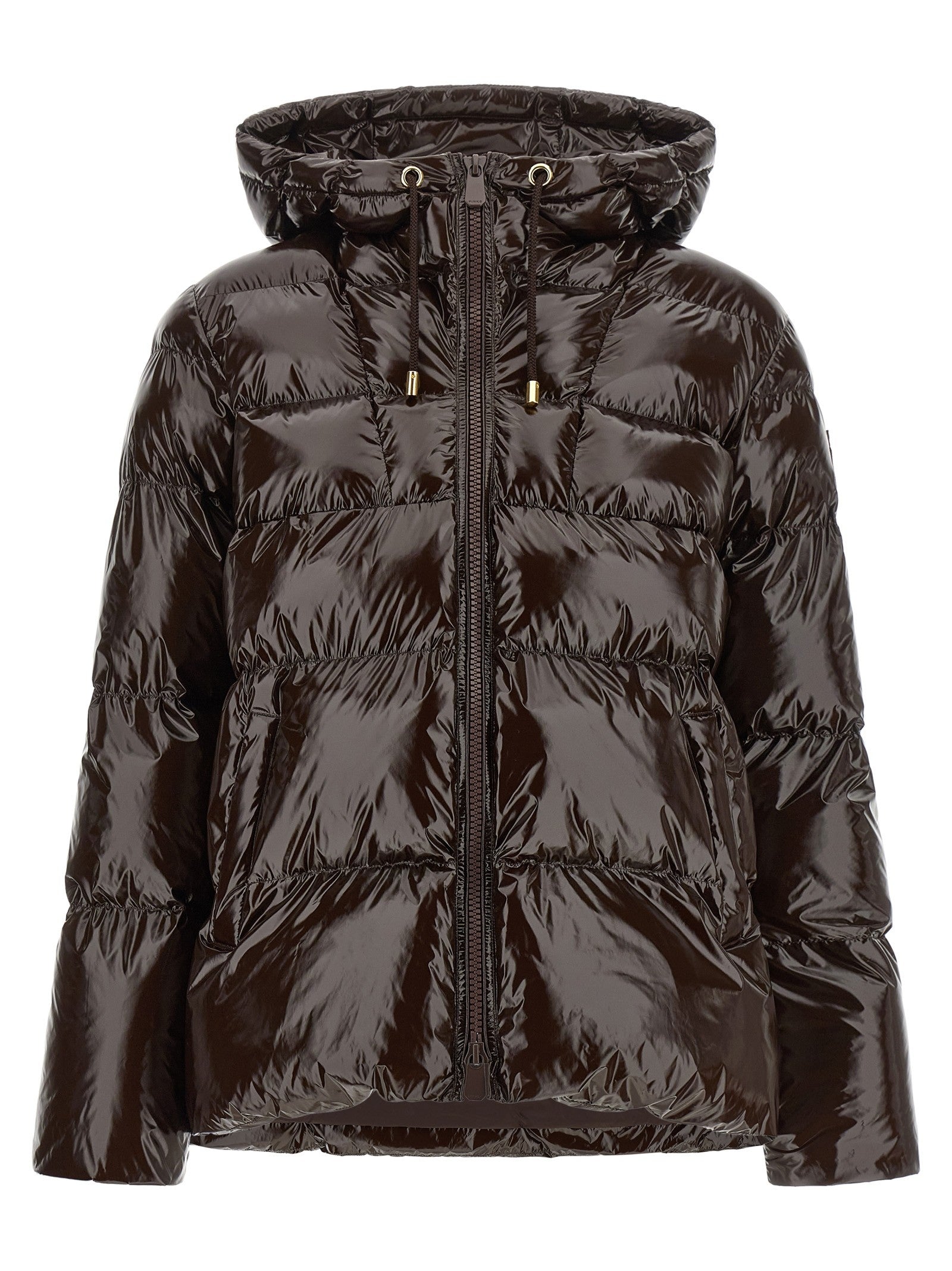 Pinko Eleodoro Down Jacket Brown