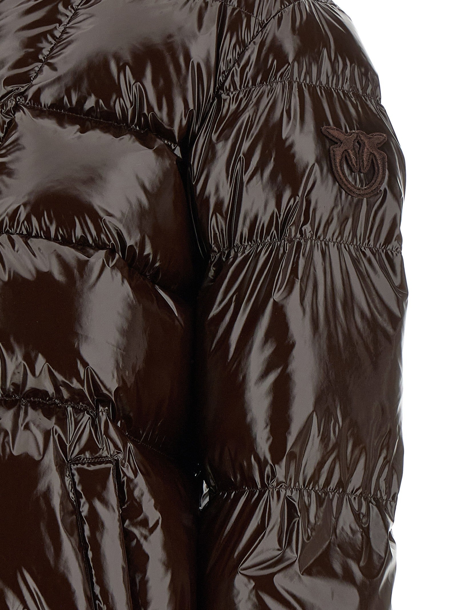 Pinko Eleodoro Down Jacket Brown