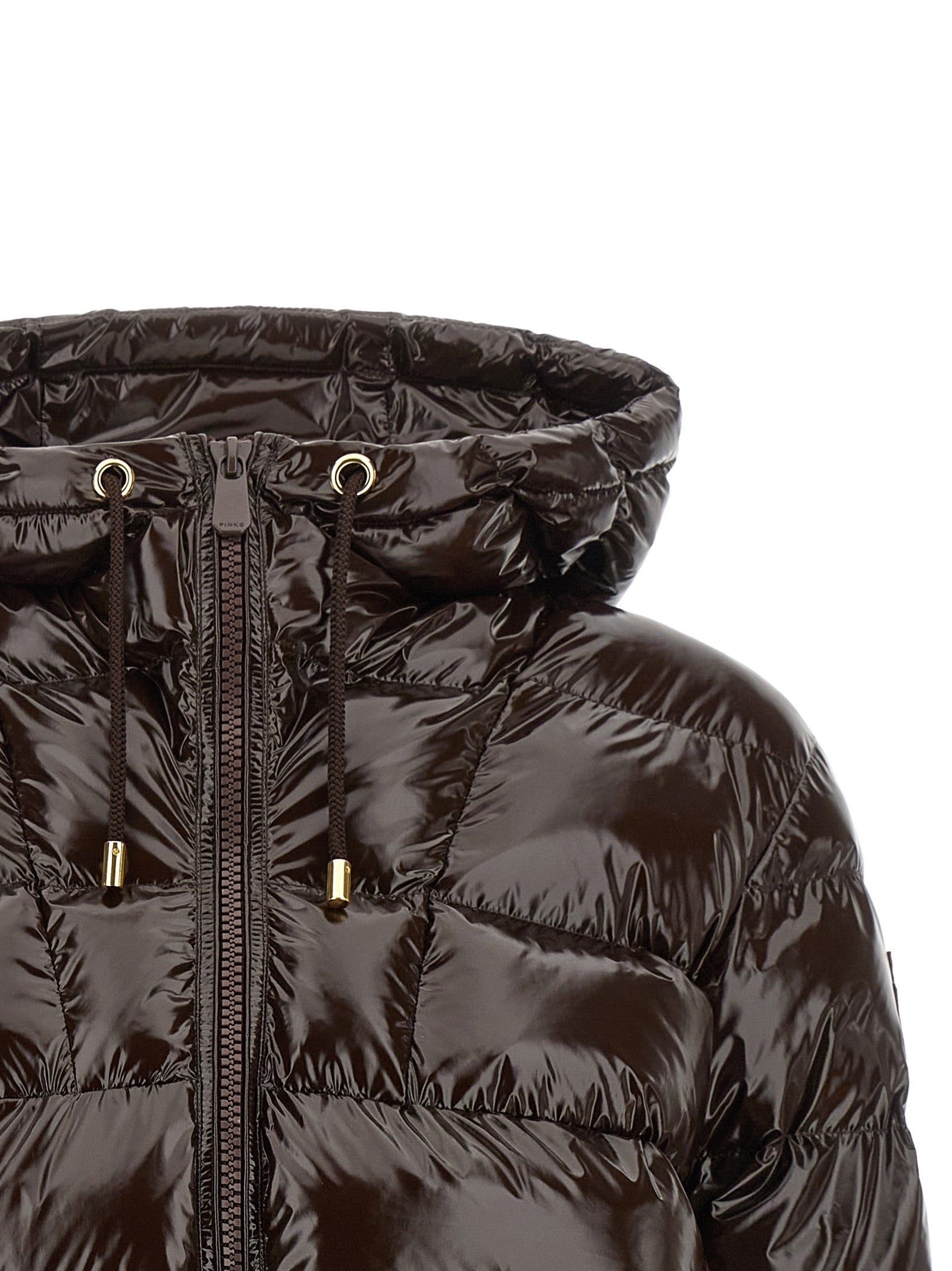 Pinko Eleodoro Down Jacket Brown