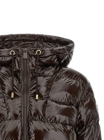 Pinko Eleodoro Down Jacket Brown
