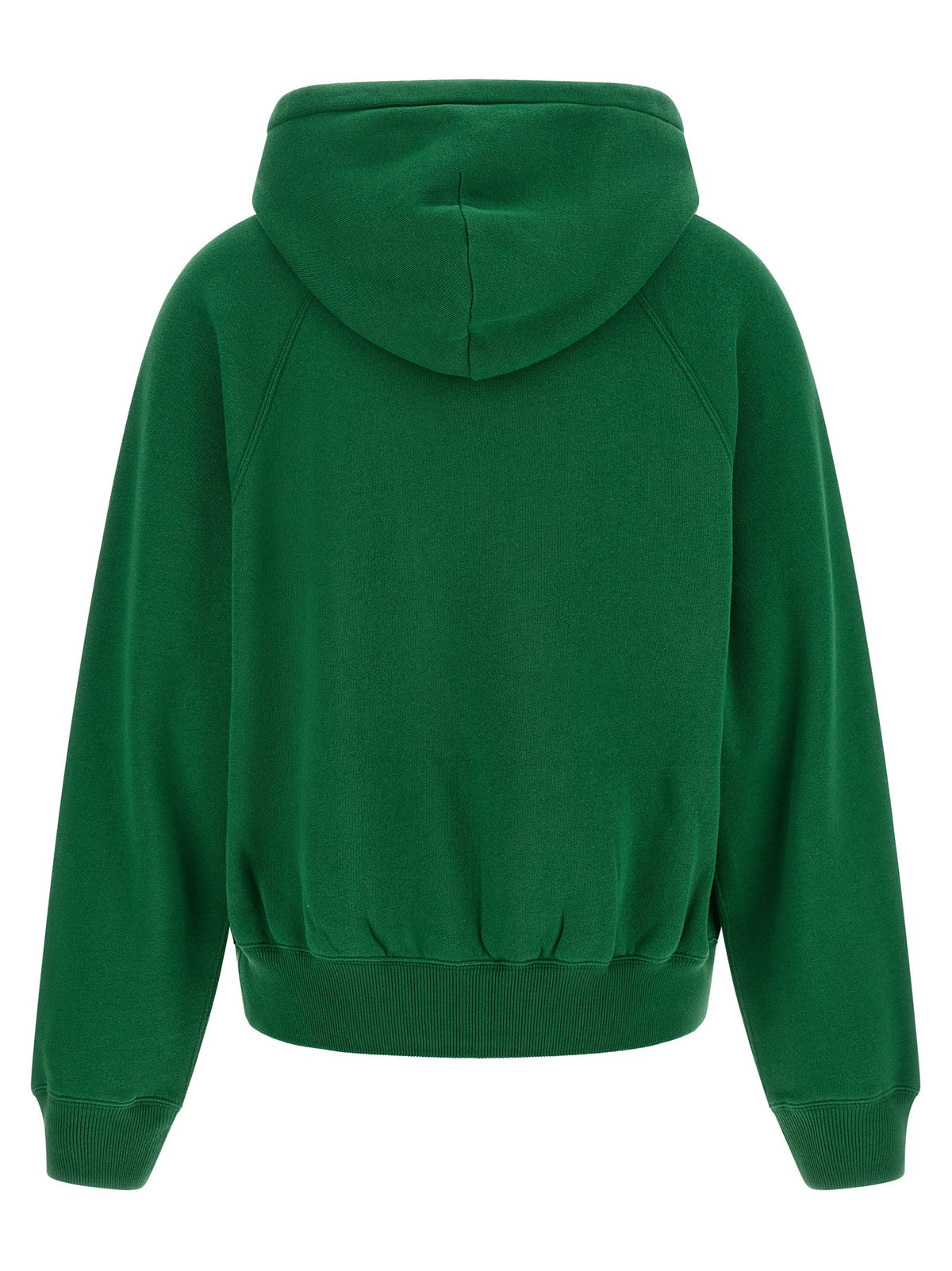 Polo Ralph Lauren Embroidery and Hoodie Green