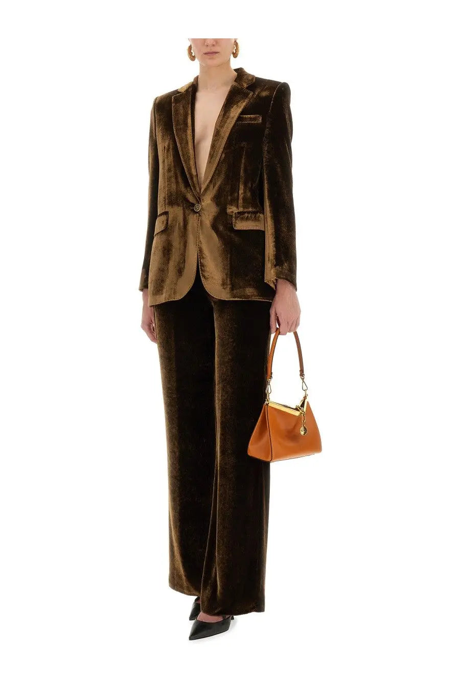 ETRO Women's Velvet Pants Brown, view 2