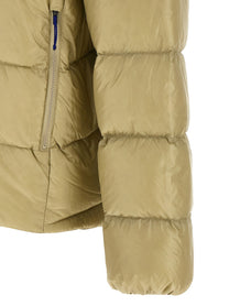 Patagonia Fitz Roy Down Jacket Down Jacket Beige