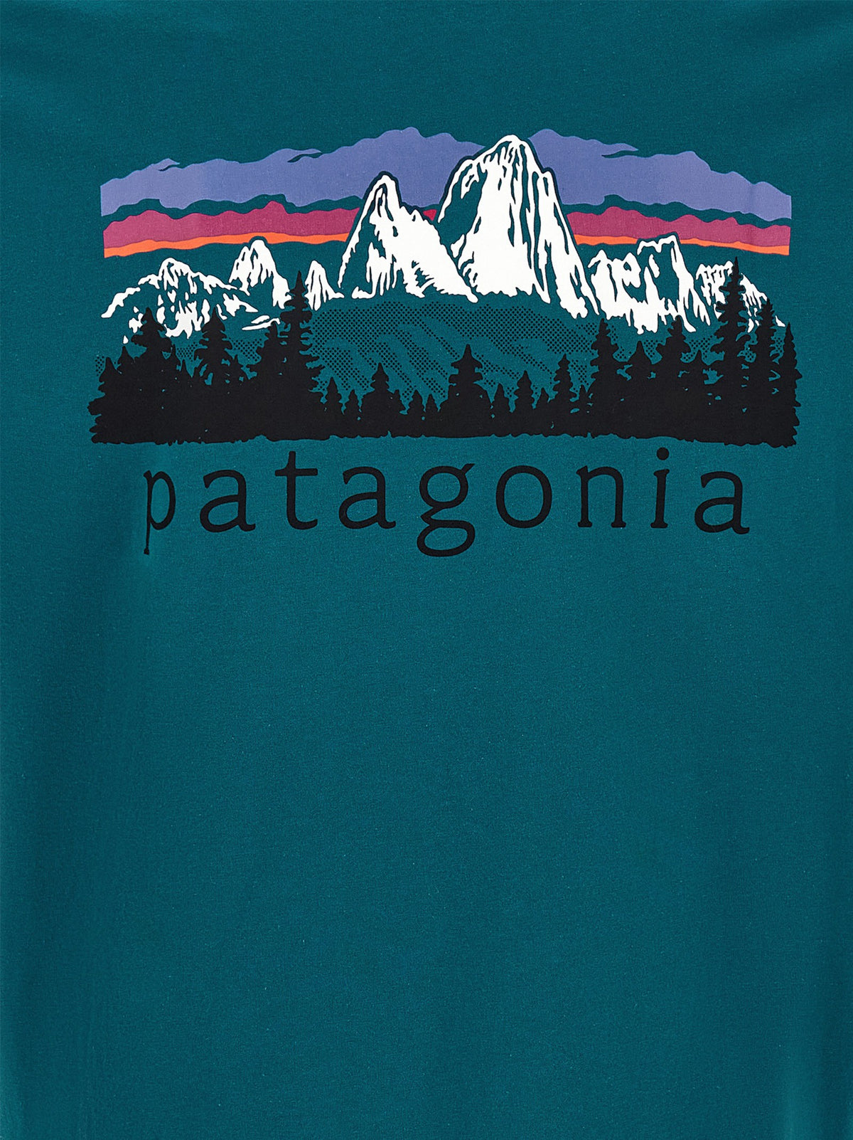 Patagonia Fitz Roy Foothills Print Shirt Green