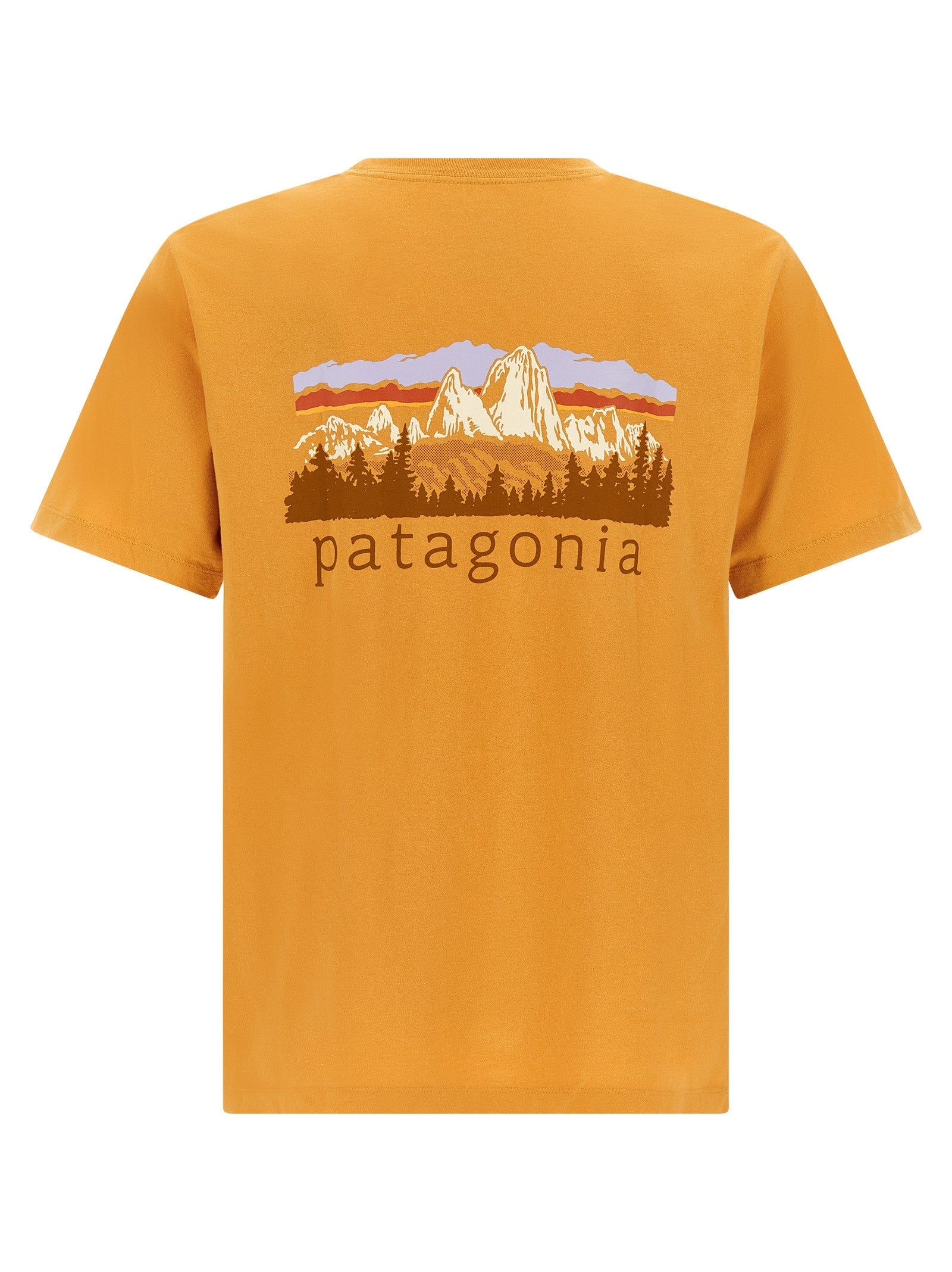 Patagonia Fitz Roy Foothills Shirt Orange