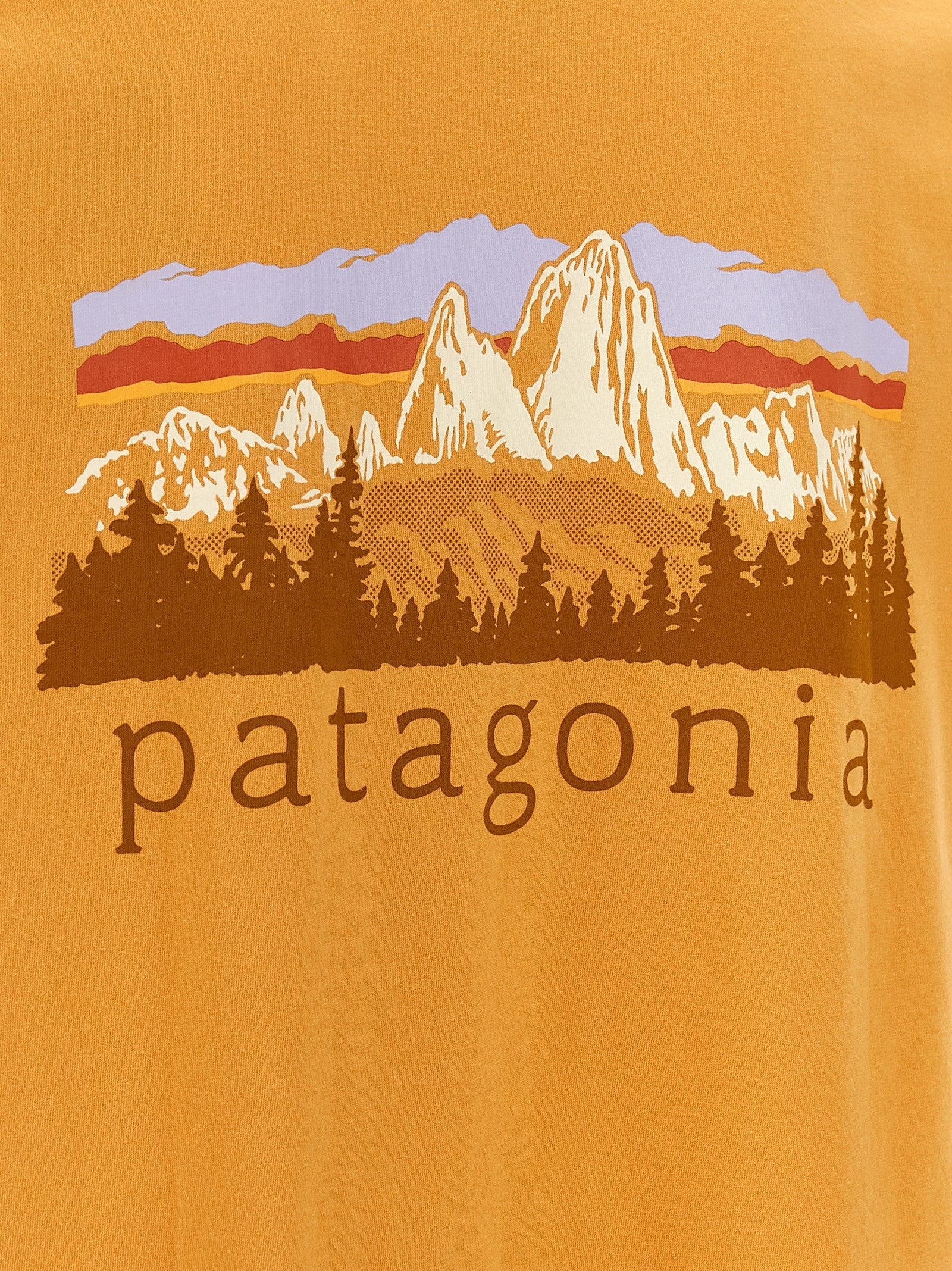 Patagonia Fitz Roy Foothills Shirt Orange