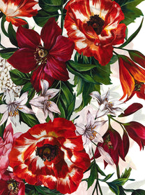 Dolce &amp; Gabbana Floral Print Scarf Gold, view 3
