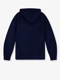 Polo Ralph Lauren Men's Hoodie Blue