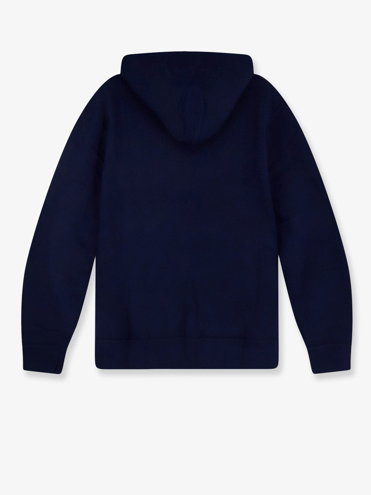 Polo Ralph Lauren Men's Hooded Sweatshirt Blue