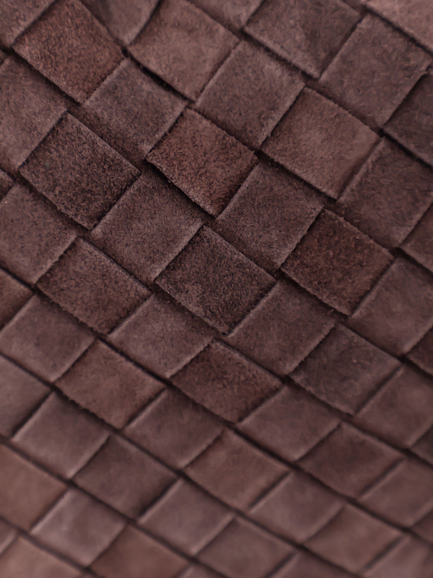 Bottega Veneta Women's Hop Leather Shoulder Bag Brown