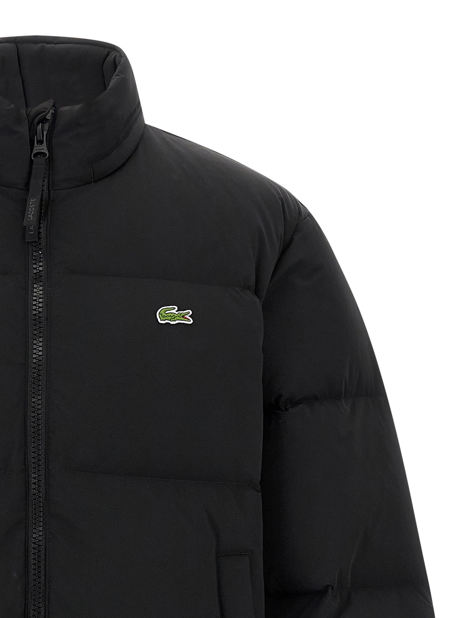LACOSTE - LACOSTE - Logo down jacket - Men’s Outerwear
