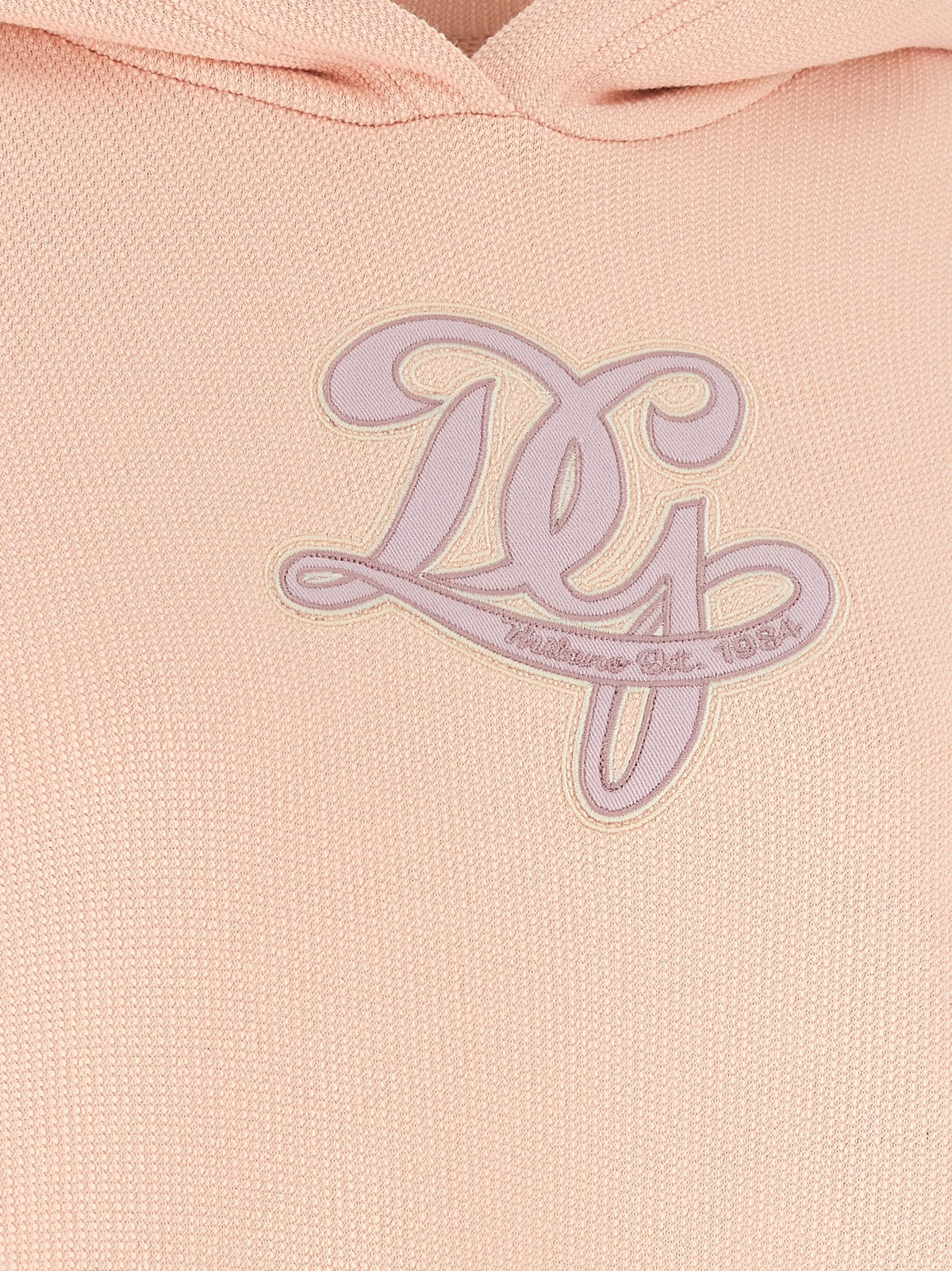 Dolce &amp; Gabbana Embroidery Hoodie Blue