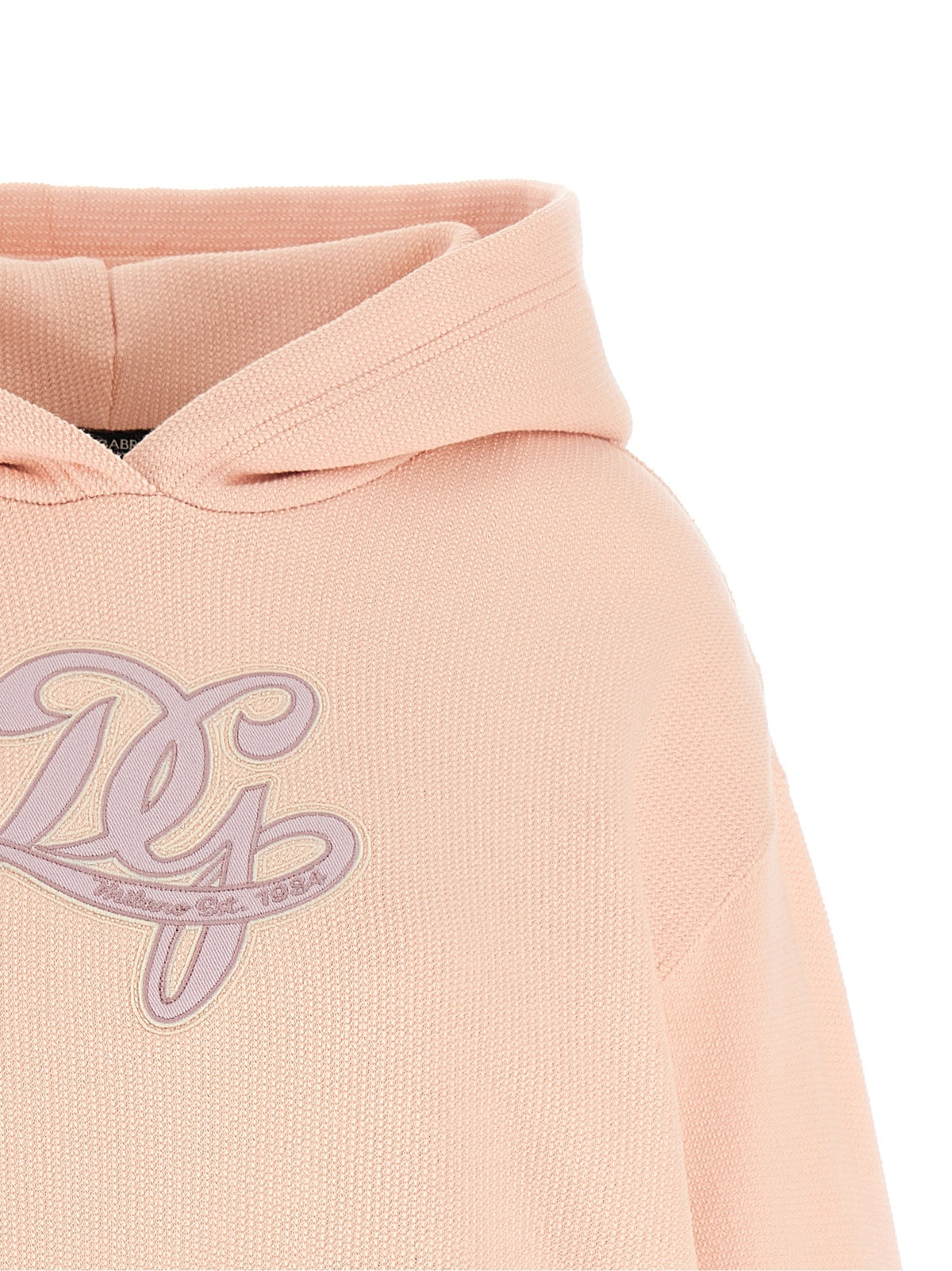Dolce &amp; Gabbana Embroidery Hoodie Blue