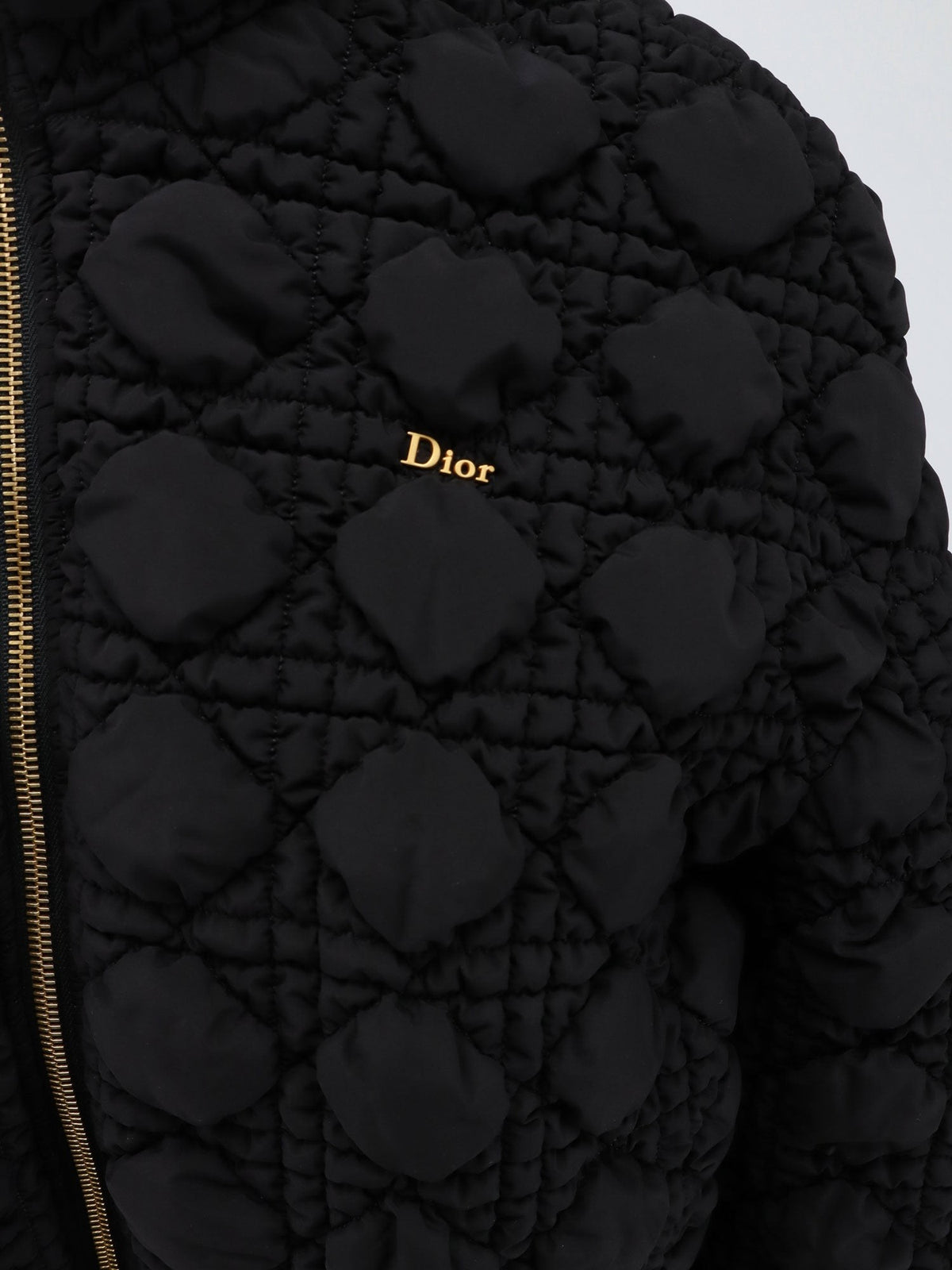 Dior Women's Macrocannage Jacket Black