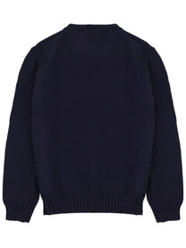 Polo Ralph Lauren Men's Maglia Flag in Cotone Blue