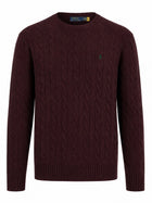 Polo Ralph Lauren Men's Wool Cashmere Sweater Red