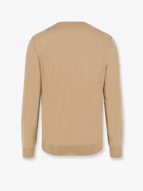 Polo Ralph Lauren Men's Merino Wool Sweater Brown