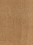 Max Mara Mxapalmeti Stole Brown, view 2