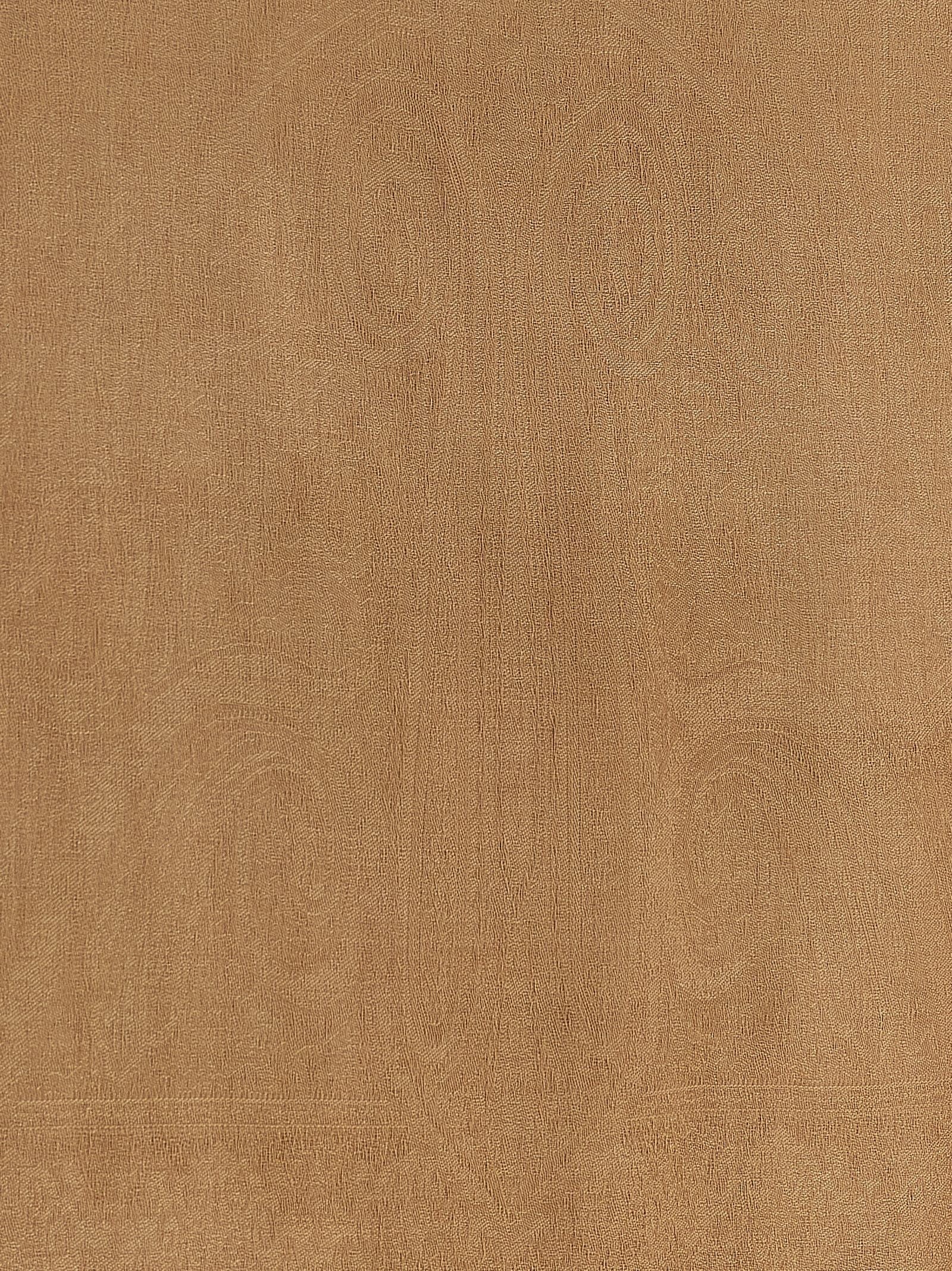 Max Mara Mxapalmeti Stole Brown