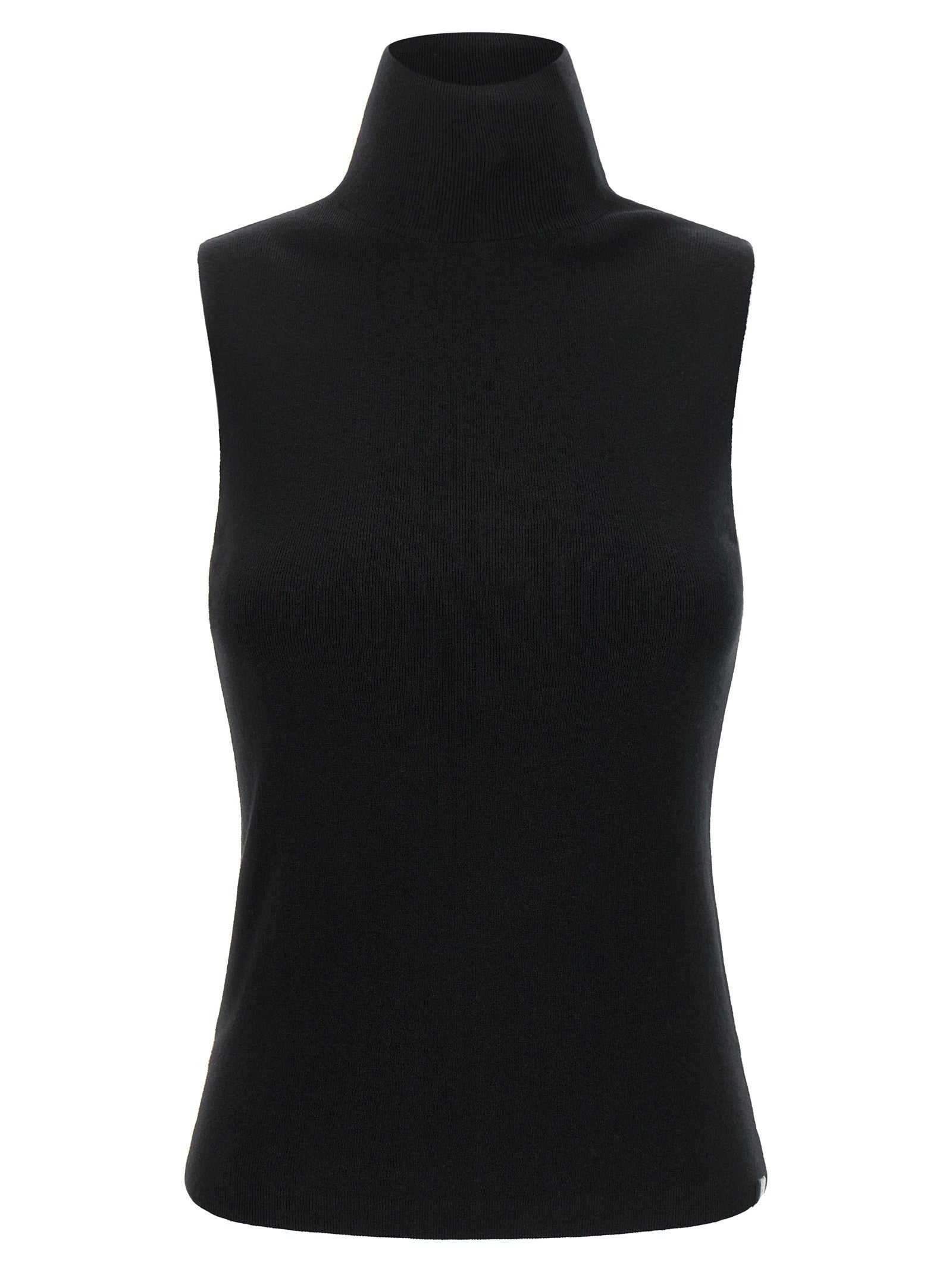 extreme cashmere Collo Turtleneck Sweater Black