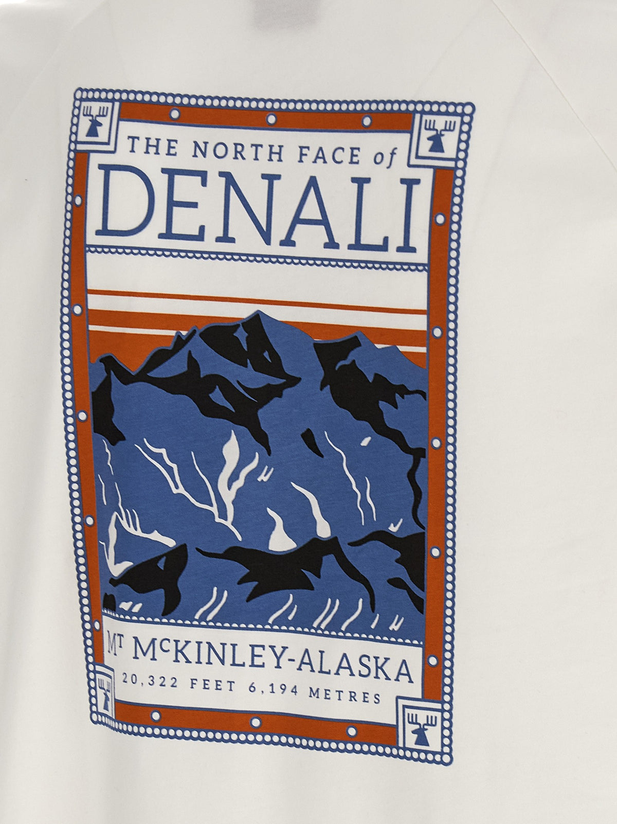 The North Face North Faces Shirt White