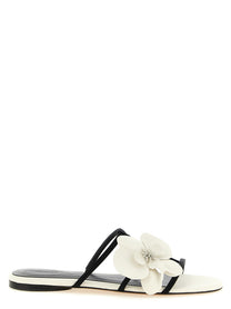 Zimmermann Orchid Slides White