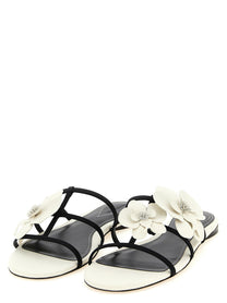 Zimmermann Orchid Slides White