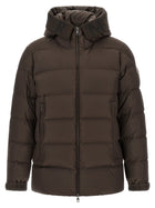 Moncler Orvelle Down Jacket Brown