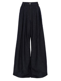 Dries Van Noten Women's Pants Pamplona Blue